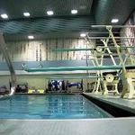 Pool Diving Boards